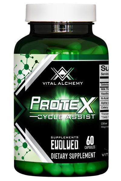Protex On cycle Support
