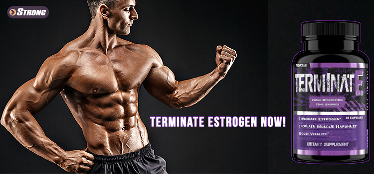 terminate banner