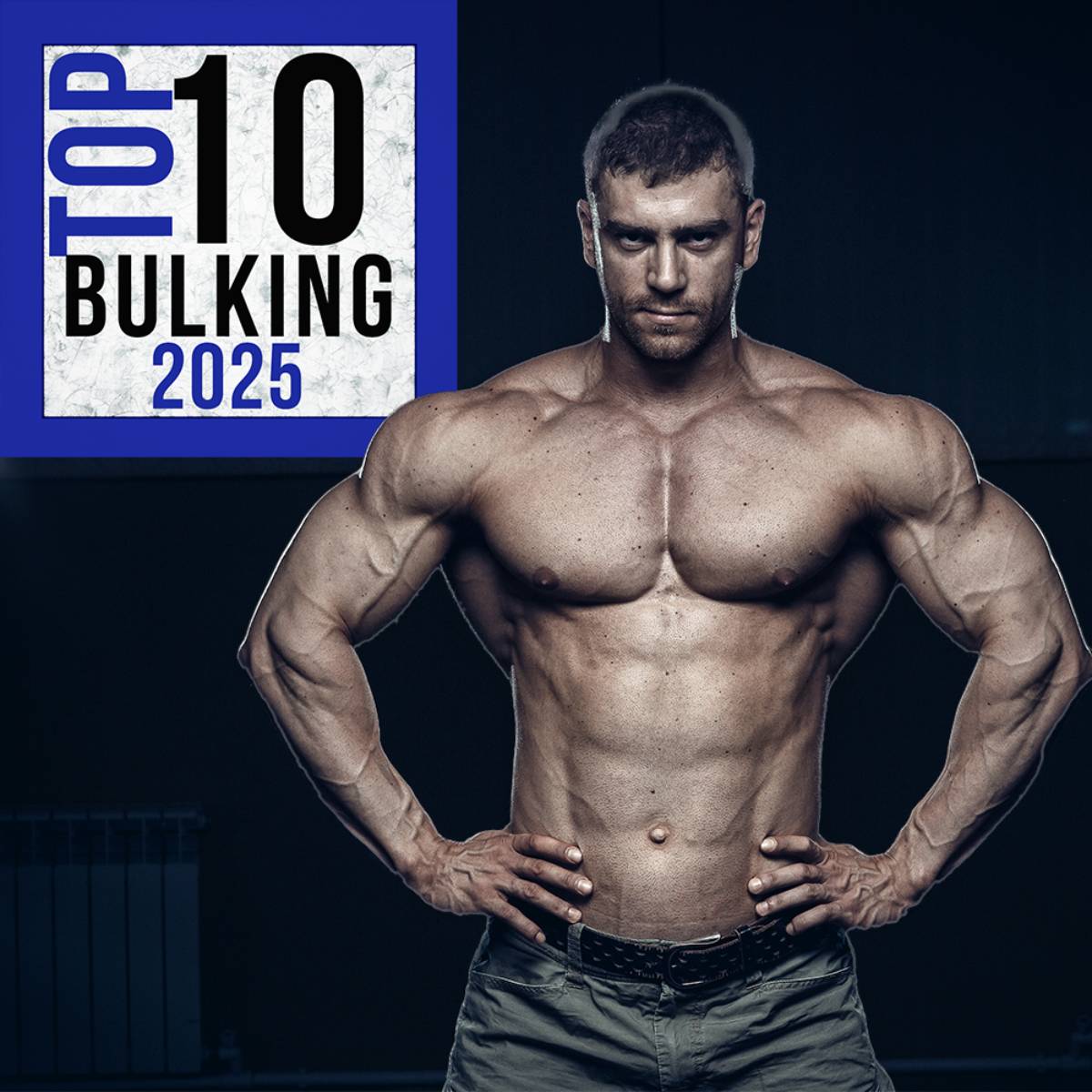 Top 10 Bulking Supplements