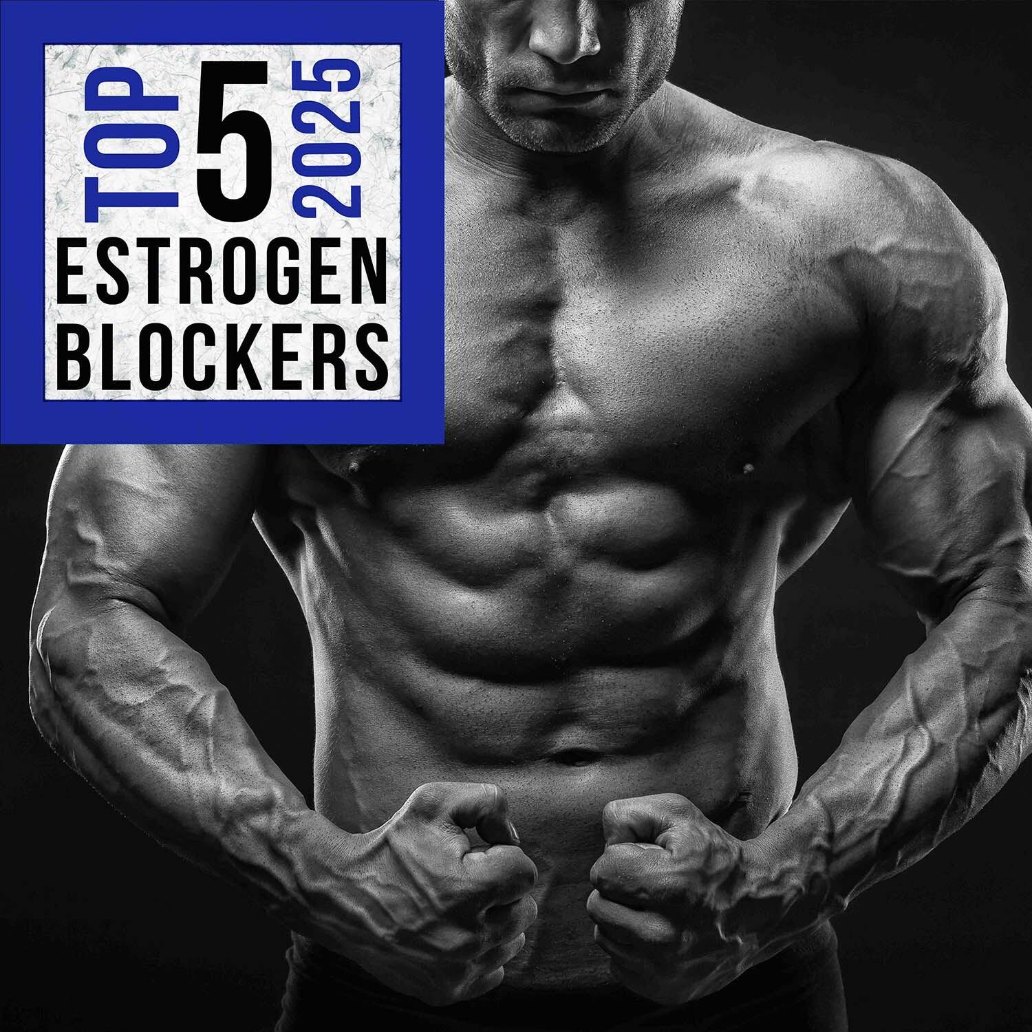Top 10 Estrogen Blockers